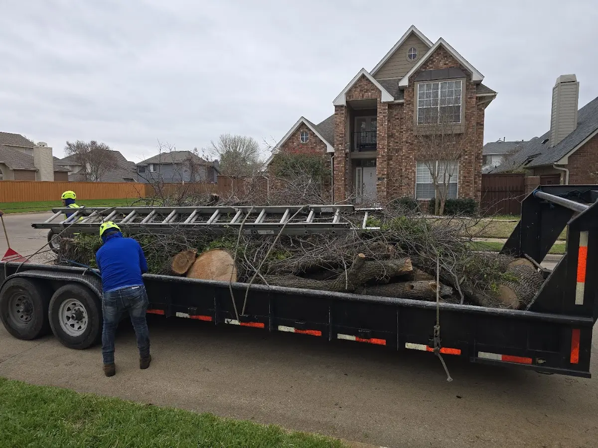 Expert Tree Fertilization with proper safety equipment in Dillon